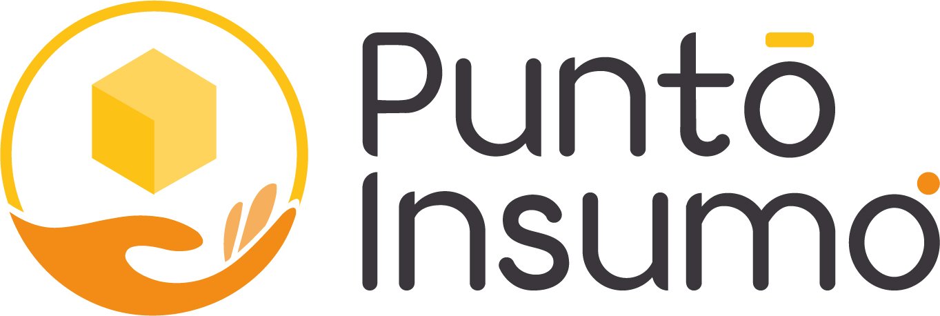 puntoinsumo.com